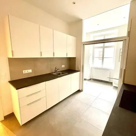 Brand New & Spacious Apartment In The City Centre Vienne Extérieur photo